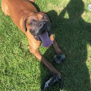 Meet your Posher, Angelina